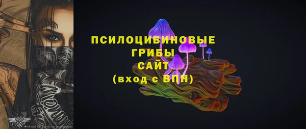 прущие грибы Алексеевка