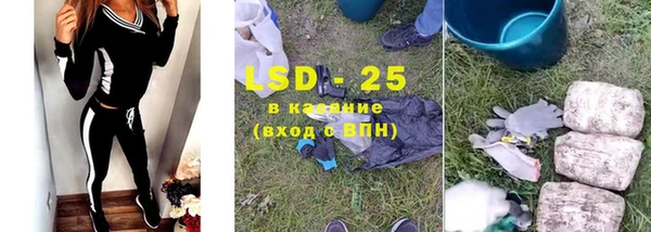 прущие грибы Алексеевка