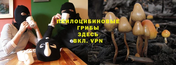 прущие грибы Алексеевка